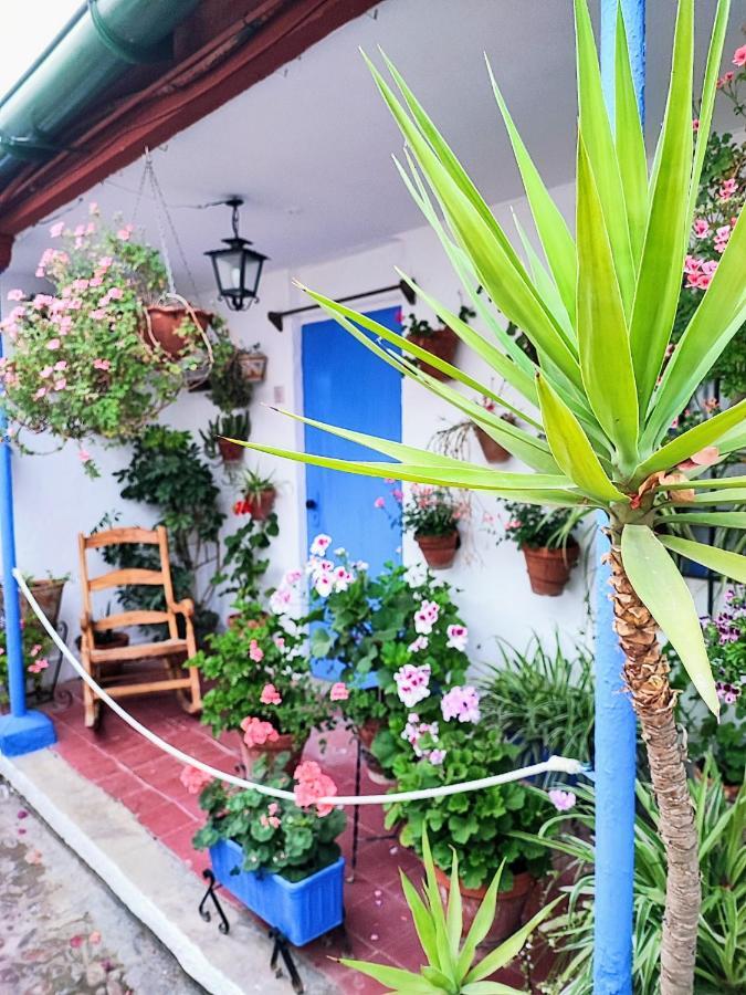 Apartamento Alcazar San Basilio Cordoba Exterior photo